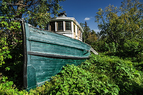 140913-9546.jpg