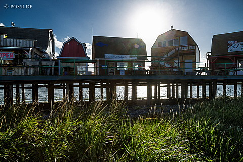 140913-9573.jpg