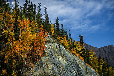140914-9632.jpg