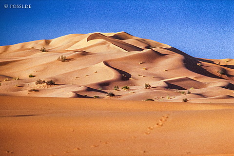 070219-0068.jpg