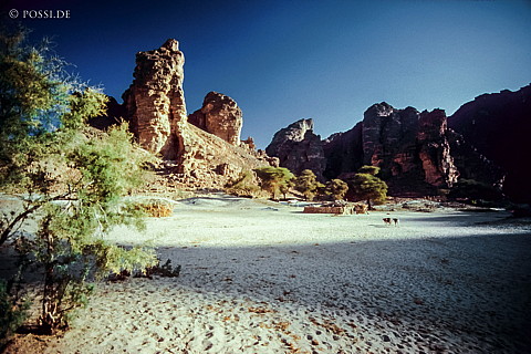 070222-0275.jpg