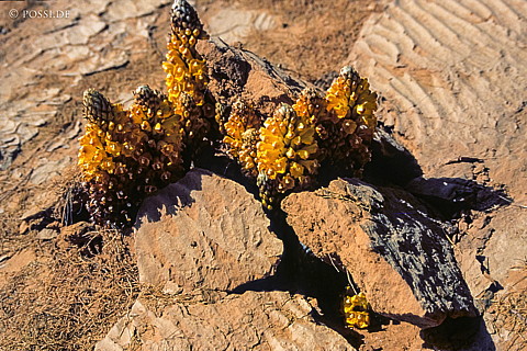 070227-0313.jpg