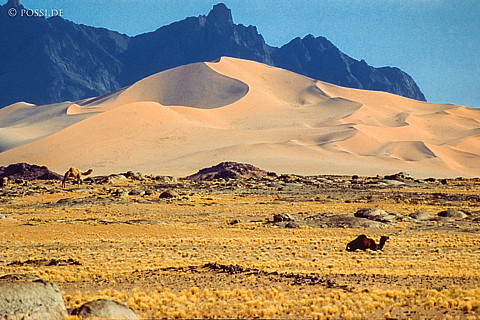 070227-0323.jpg