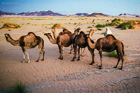 070227-0325.jpg