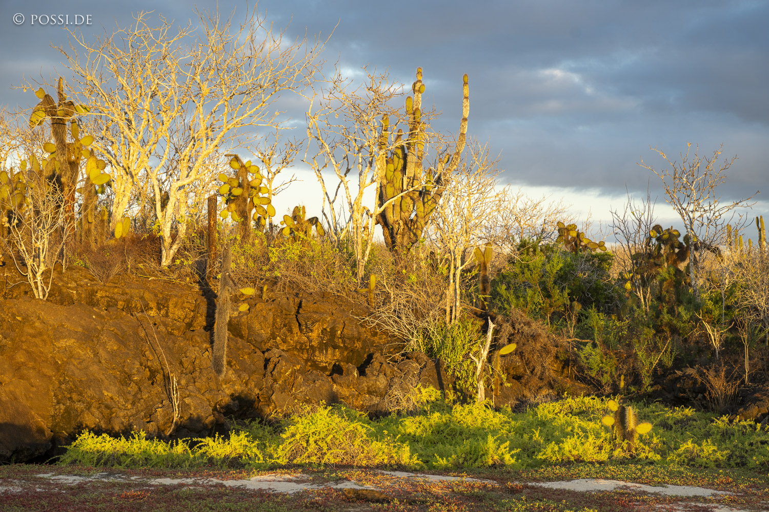 231210-174515-0245.jpg