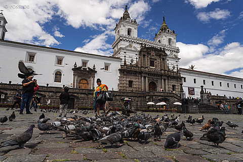 231201-111110-0017.jpg
