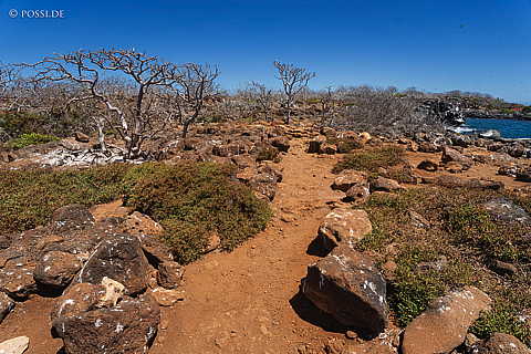 231209-112848-0199.jpg