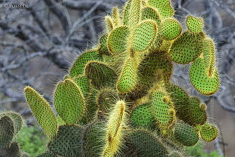 231210-162218-0234.jpg