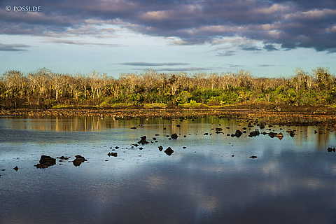 231210-172741-0236.jpg