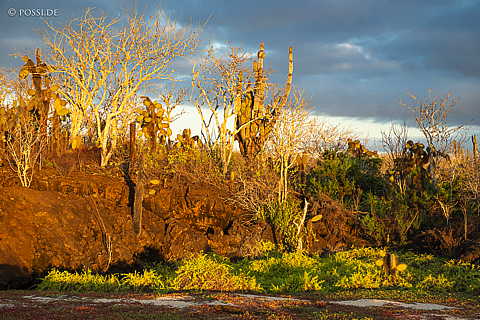 231210-174515-0245.jpg