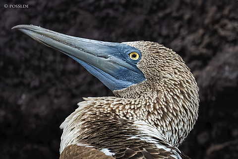231211-080242-0257.jpg