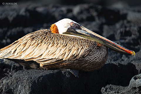 231212-161733-0364.jpg