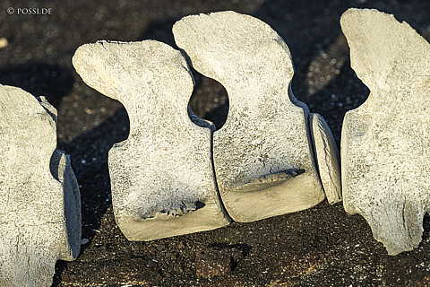 231212-172918-0388.jpg