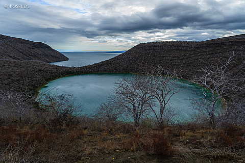 231213-155338-0413.jpg