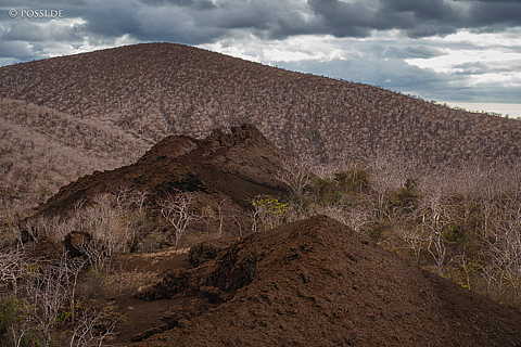 231213-161645-0414.jpg