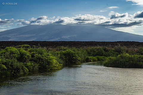 231214-162634-0471.jpg