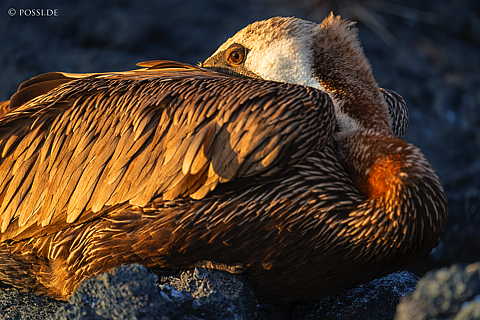 231214-173752-0490.jpg