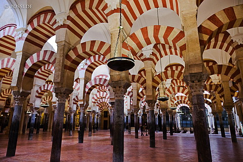 110526-1860.jpg
