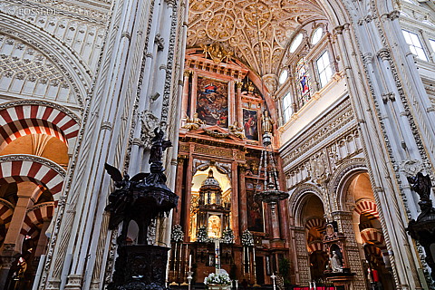 110526-1873.jpg