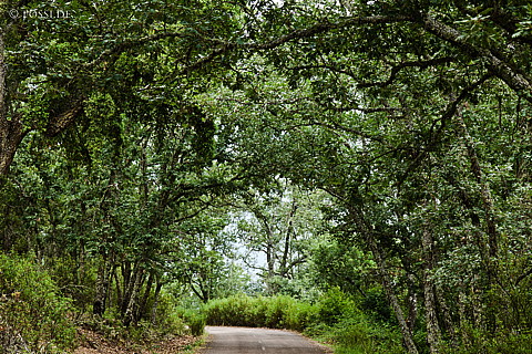 110527-1915.jpg