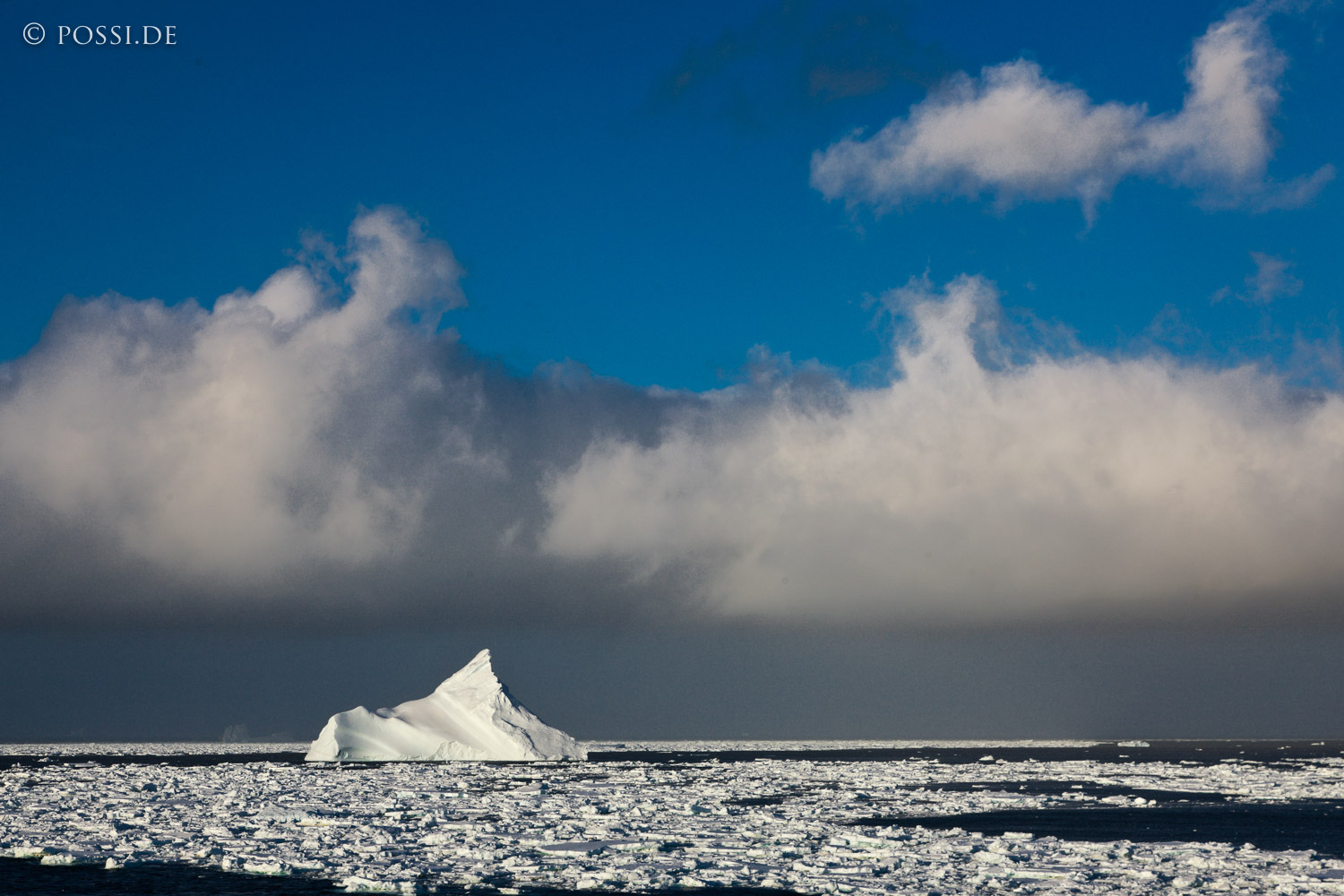 101124-5090.jpg