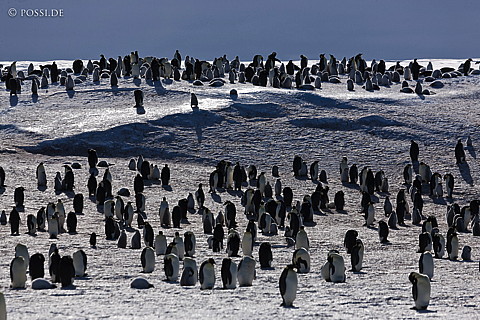 101117-3546.jpg
