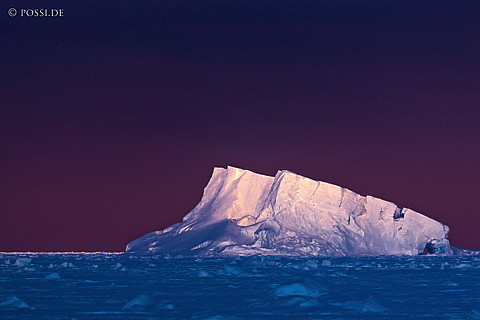101118-3988.jpg