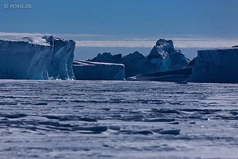 101119-4274.jpg