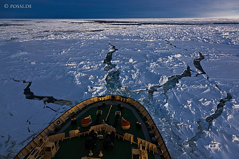 101120-4791.jpg