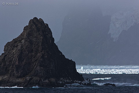101124-4923.jpg