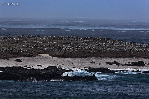 101124-4924.jpg