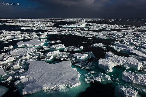 101124-4995.jpg