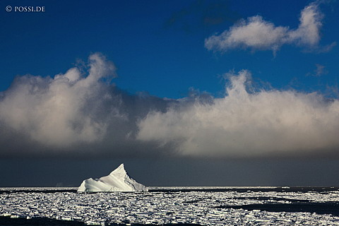 101124-5090.jpg