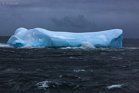 101125-5171.jpg