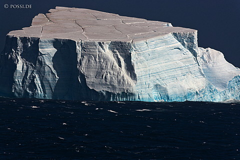 101126-5212.jpg