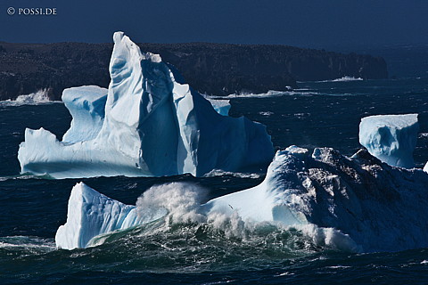 101126-5229.jpg