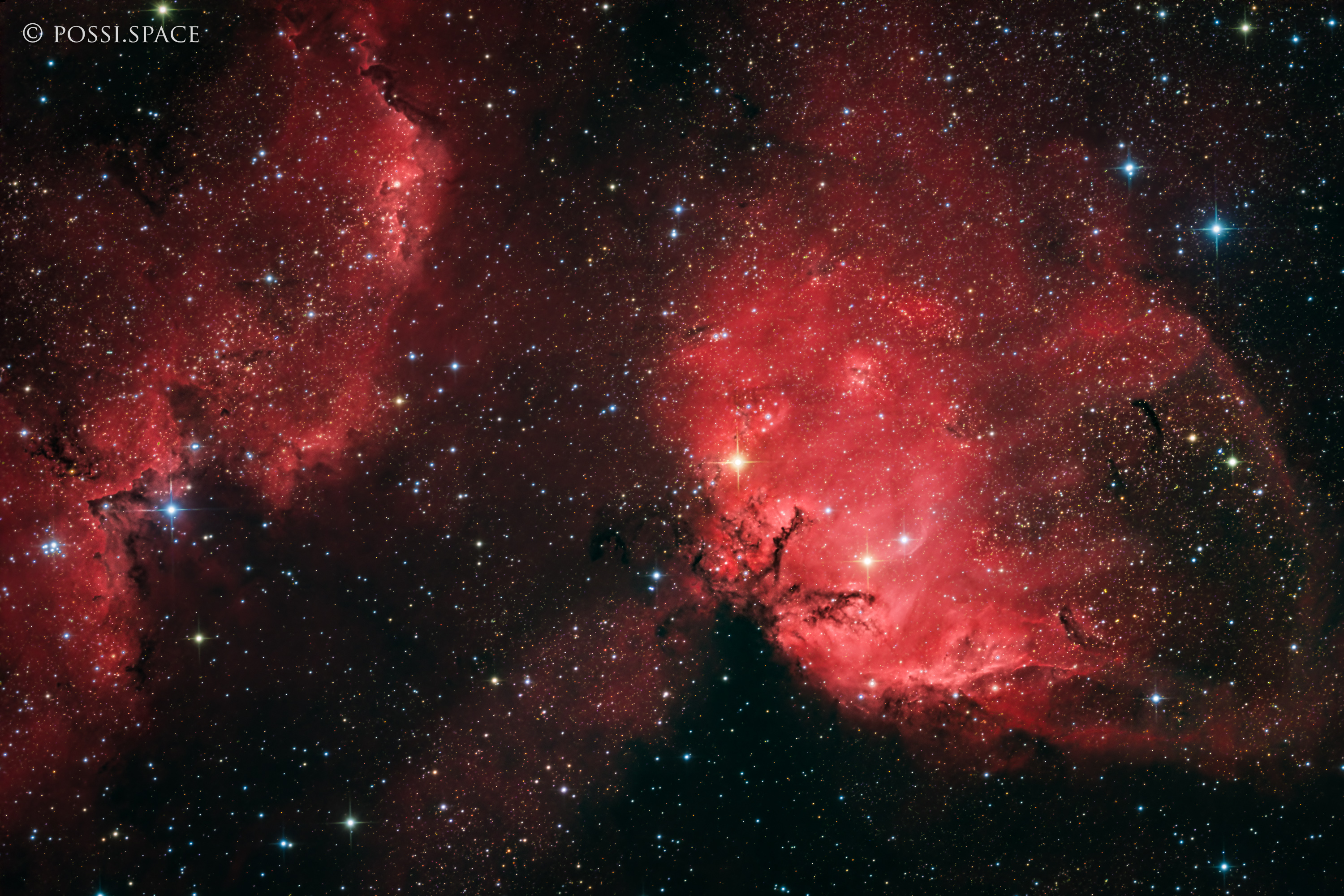 230716_sh2-101_tulip_nebula_-_cdk17_reduced_hgb.jpg