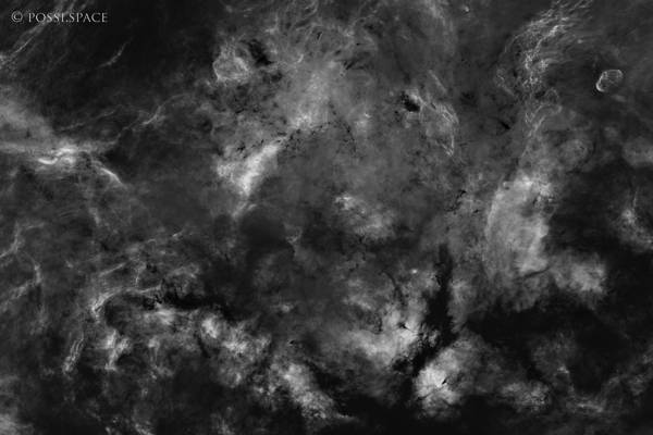 Click for full size 220829_ic1318_sadr_region_2x4_mosaic_rasa36_h-alpha.jpg