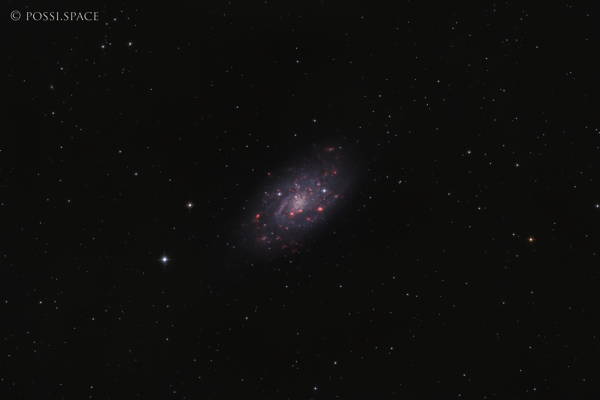 Click for full size 230108_ngc2403_small_bright_galaxy_in_camelopardis_-_cdk_reduced_hrgb.jpg