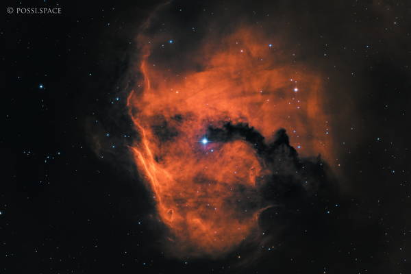 230411_rcw2_seagull_head_nebula_-_cdk24_chile_remote_hso.jpg