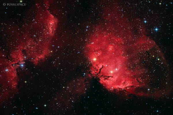 230716_sh2-101_tulip_nebula_-_cdk17_reduced_hgb.jpg