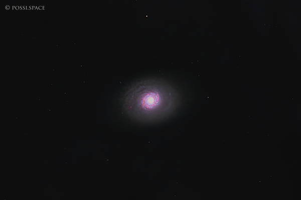 Click for full size 250211_m94_galaxy_-_cdk17_reduced_hlrgb.jpg