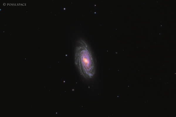 Click for full size 250428_ngc3953_barred_spiral_galaxy_-_cdk17_nativ_lrgb.jpg