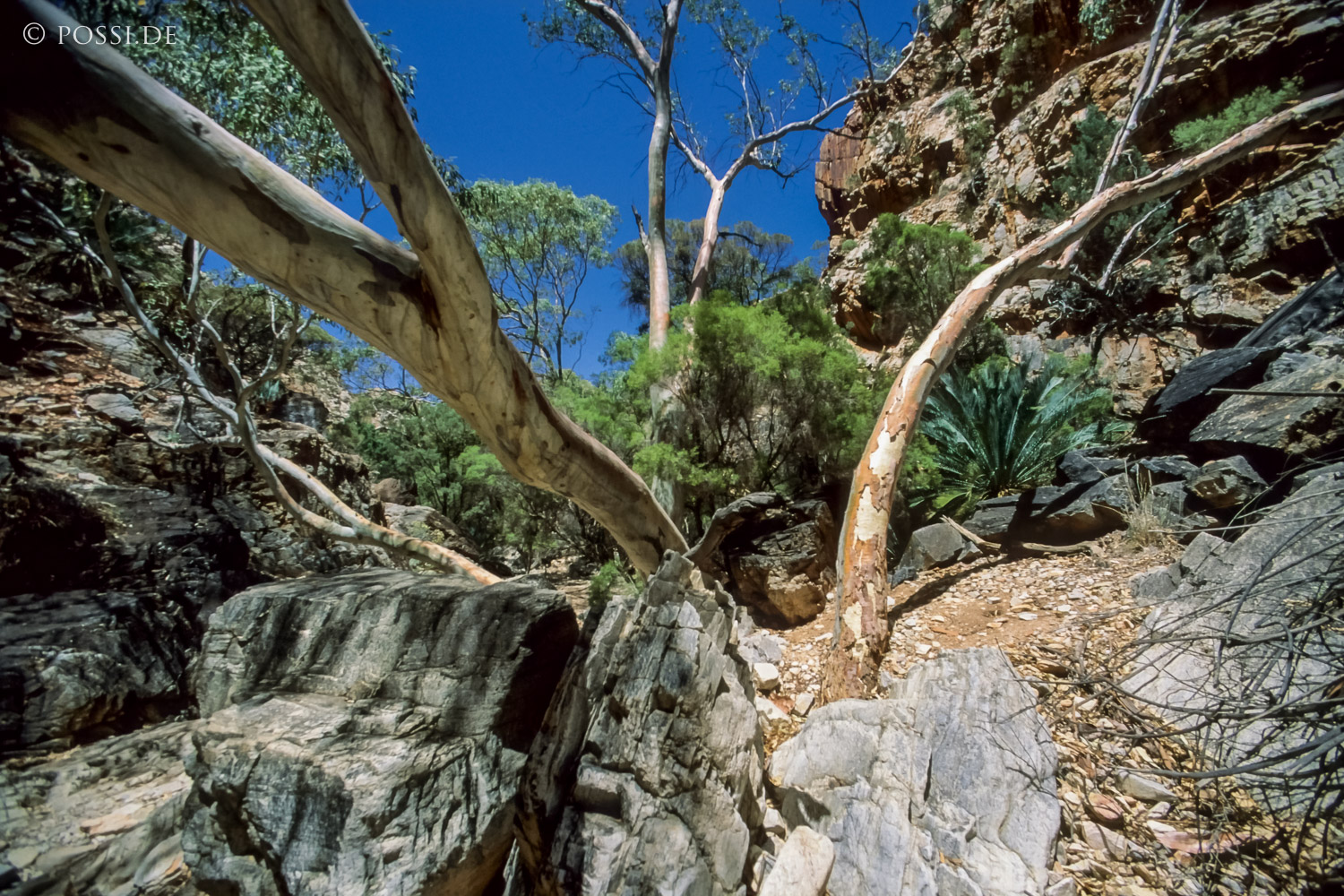 070709-0256.jpg