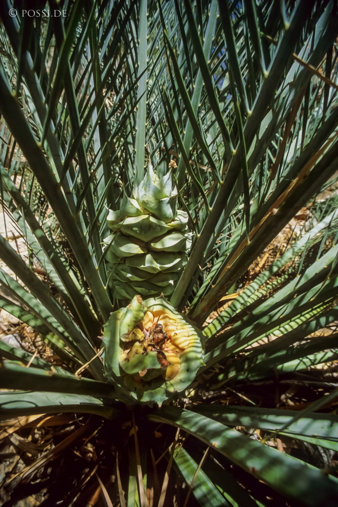 070709-0260.jpg