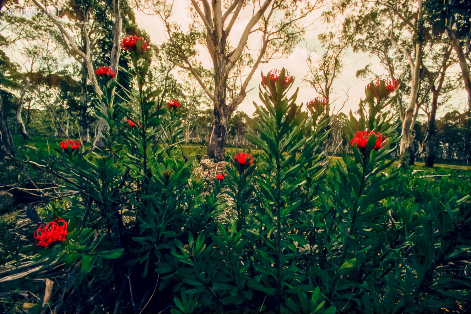 070711-0481.jpg