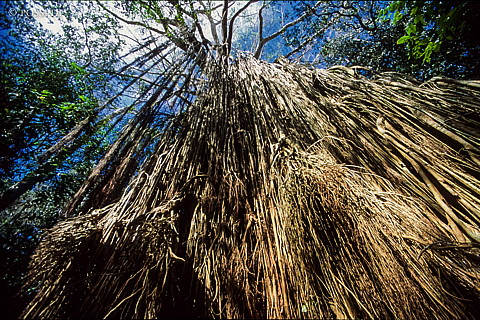 070404-0189.jpg