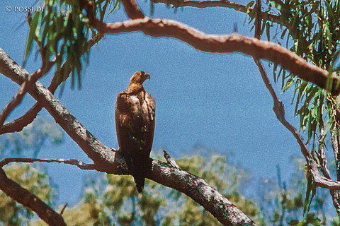 070404-0190.jpg