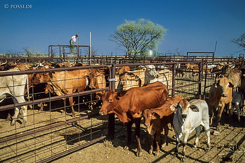 070404-0197.jpg