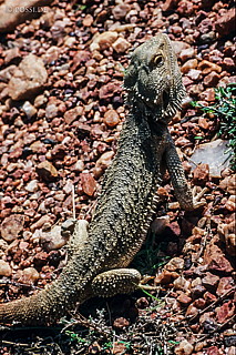 070404-0199.jpg